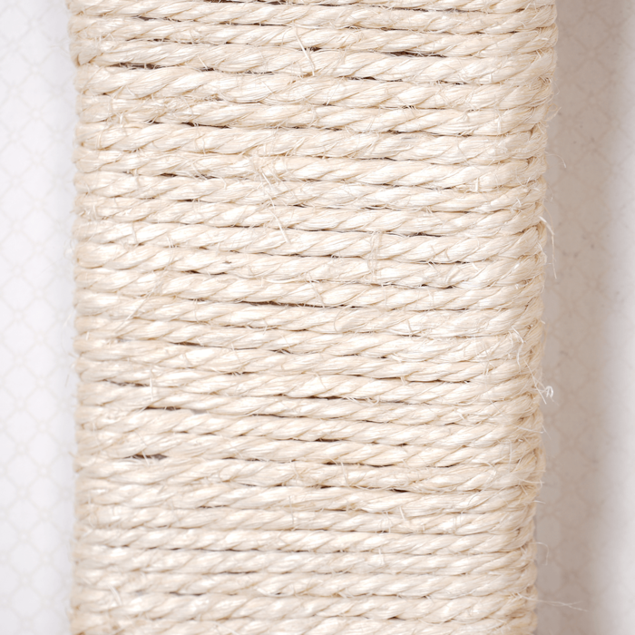 image_cda7dda5-8b63-4c0e-b057-376348ca0532