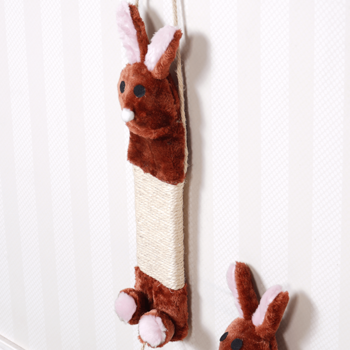 image_d99bd7f0-f332-4618-b8c6-6af4f9f531d5