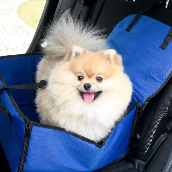 image_d64ed615-ddfa-436c-b3bd-c122bfd3d623