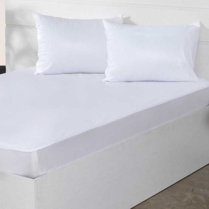 Product main image - 486e137a-ea2c-4544-a5ce-5b34982ce416