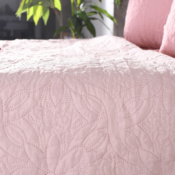 image_3e701f69-5a57-4f5e-a0ca-5e5279e3f509