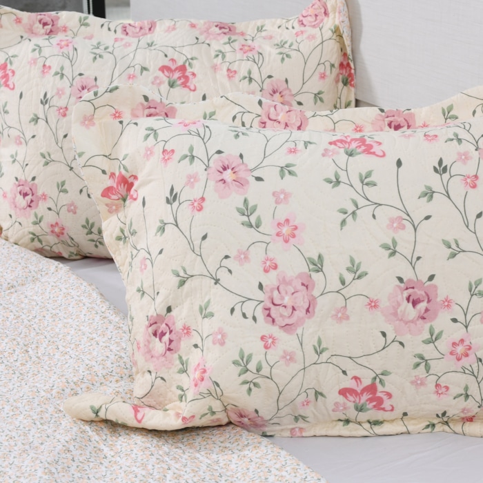 image_d0ba3a6c-d402-4fb3-b846-33783c55526e