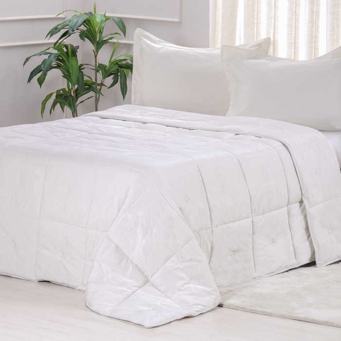 Product main image - ae8d8d49-54f8-44e6-b6bf-5f7396bd82a7