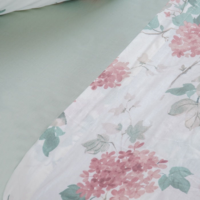 image_ff87c88a-ad32-4e72-ab23-e50d1ecec23e