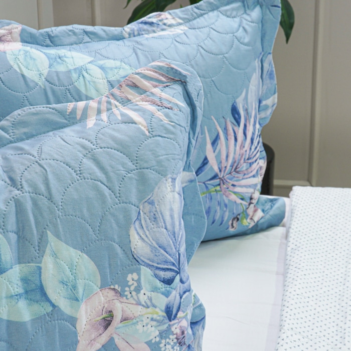 image_81ae045a-0669-489e-bfea-27dc86af2f93