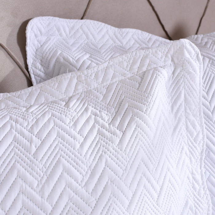 image_469c06cd-21a5-40c2-872f-8bb916e62a93