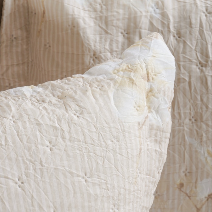 image_7b312dcc-2f91-4ca1-80c6-a2a38f158a34