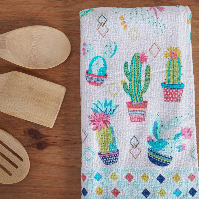 image_ed898283-263a-4f02-8bb3-cba6ddba1092