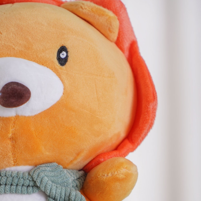 image_7511b003-b301-4ce3-a4eb-c2172eee634b