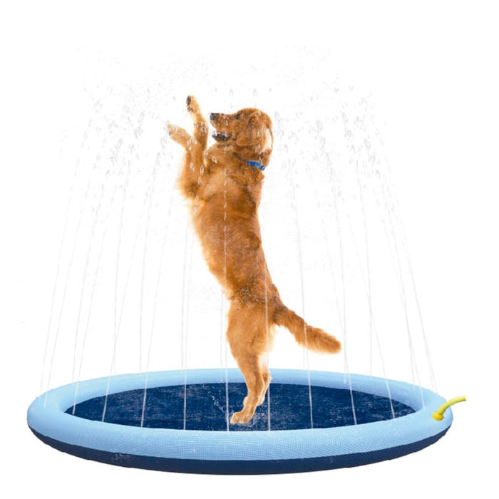 Product main image - f1ce97f1-6205-4151-9b26-5cc873ba7341