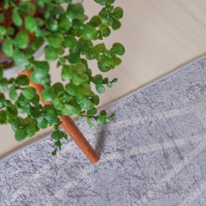 image_33e26b95-1a29-420e-a46a-8943ca293917